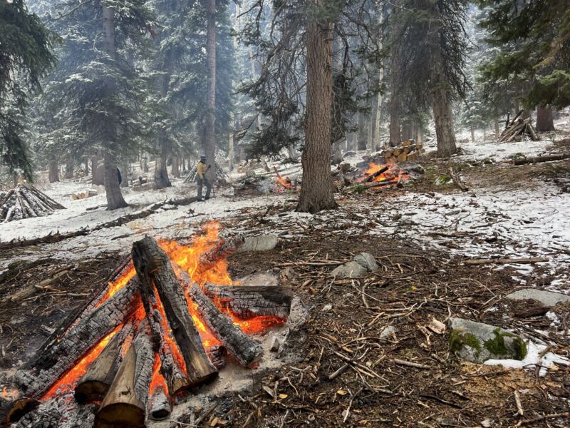 Image for the Tweet beginning: Unified Fire Authority’s Wildland Division