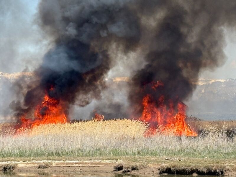 Image for the Tweet beginning: 🔥 Prescribed Fire Alert—Please Share  📍