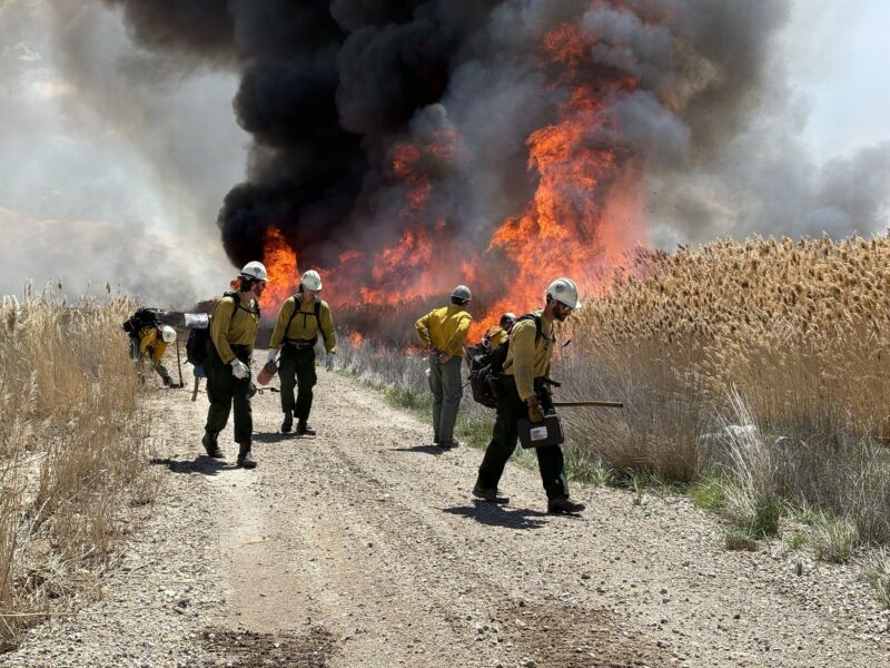 Image for the Tweet beginning: 🔥 Prescribed Fire Notice #TurpinRx  @utahffsl