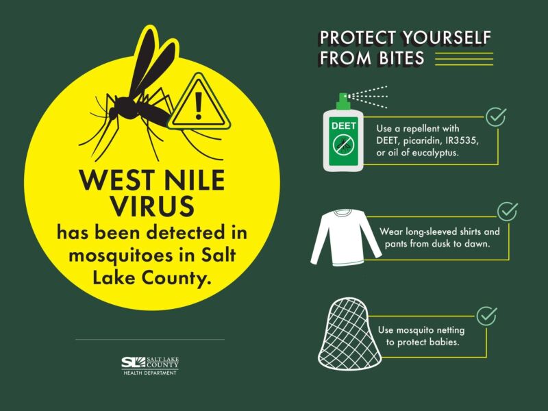 Image for the Tweet beginning: West Nile Virus is spread