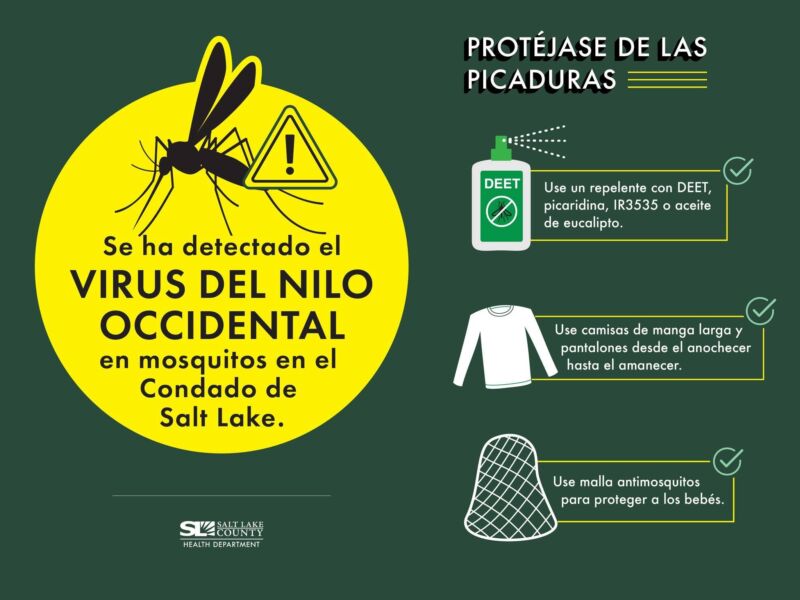 Image for the Tweet beginning: West Nile Virus is spread